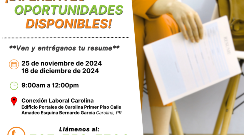 Feria de Empleo el 25 de noviembre y el 16 de diciembre