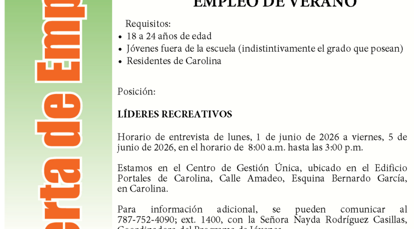 EMPLEO DE VERANO